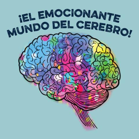 ¡El emocionante mundo del cerebro!