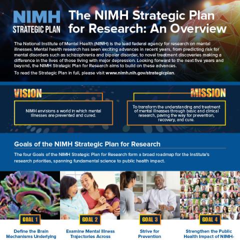 The NIMH Strategic Plan for Research: An Overview