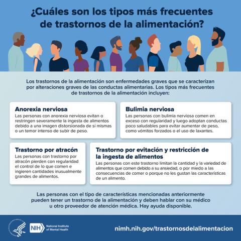 cover of cuales son los tipos mas frecuentes de trastornos de la alimentacion