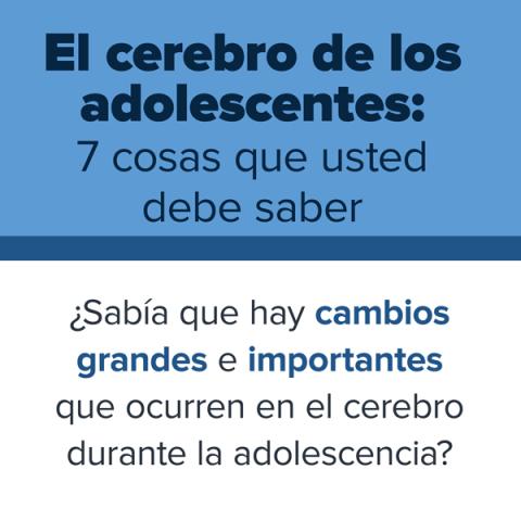 El cerebro de los adolescentes: 7 cosas que usted debe saber